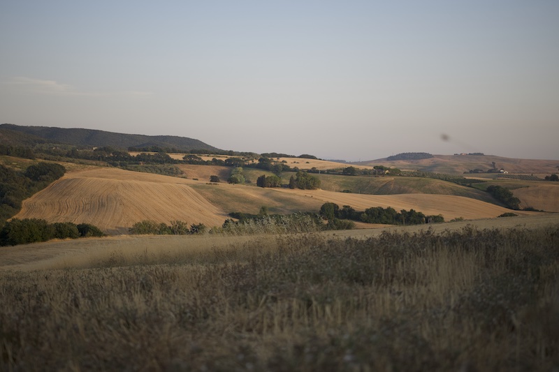 Hills of Pomaia Tuscany